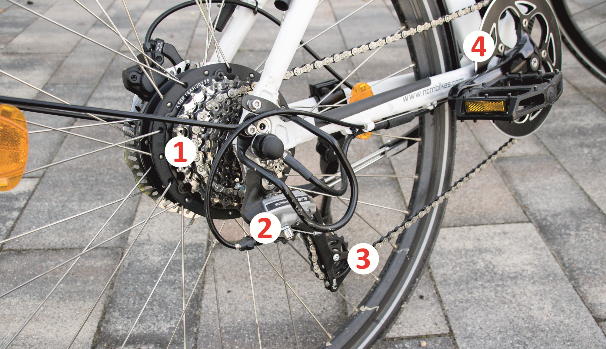 Die Komponenten einer 11-Gang-Kettenschaltung an einem Pedelec mit Hinterradantrieb